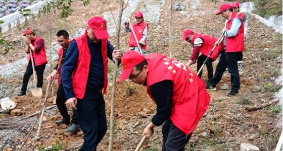 村企共建，共植先锋林